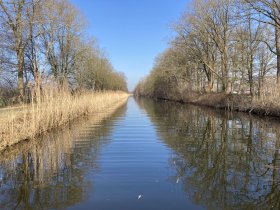 IMG_9109.jpg