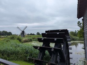 IMG_0520.jpg
